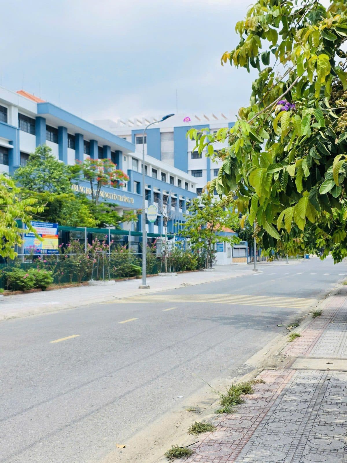 BÁN ĐẤT MẶT TIỀN BÌNH NHÂM 83 – CẠNH TRƯỜNG HỌC, SÁT SÔNG SÀI GÒN – CƠ HỘI HIẾM CÓ tại Bình Nhâm, Thuận An, Bình Dương - ảnh 2