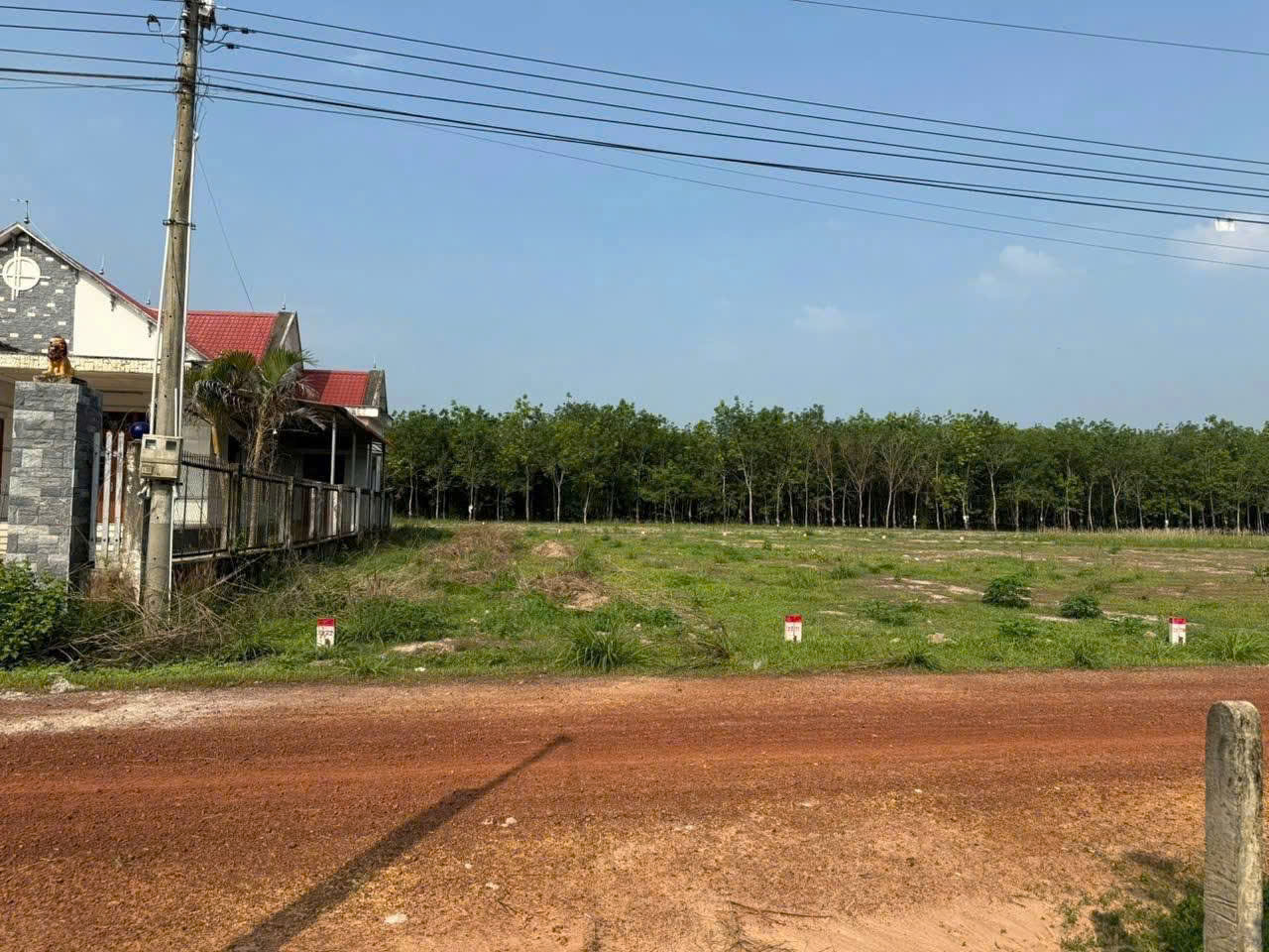 Bán đất khu vực xã Long Hòa - TP. Hồ Chí Minh tại Long Hòa, Dầu Tiếng, Bình Dương - ảnh 2